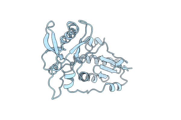 1MML image