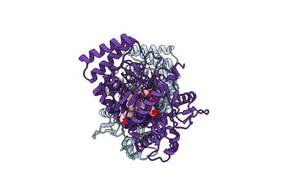 1MMV image
