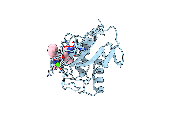 1MNC image