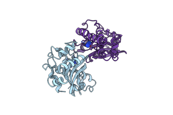 1MNG image
