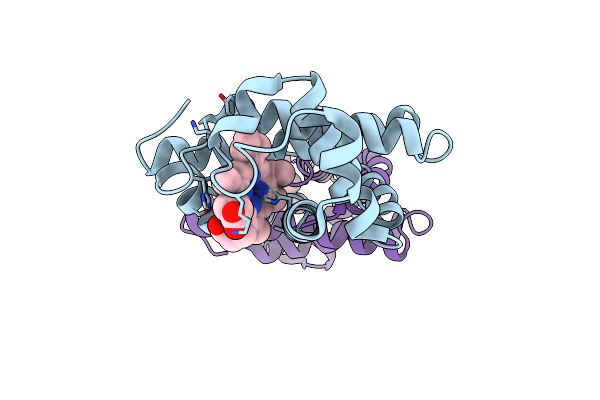 1MNI image