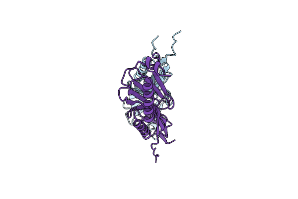 1MP9 image