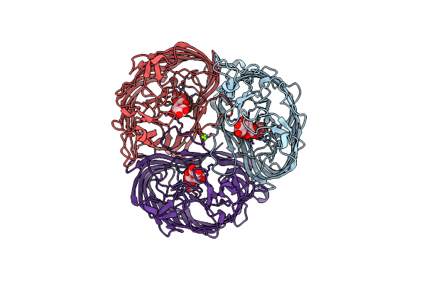 1MPM image