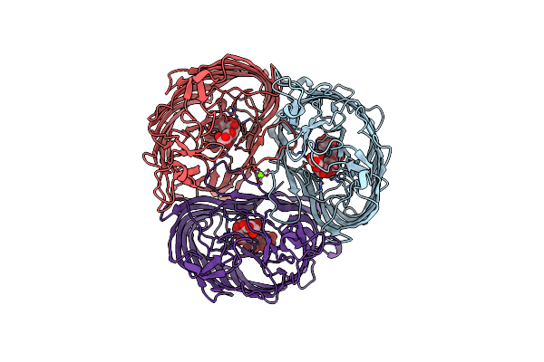 1MPO image