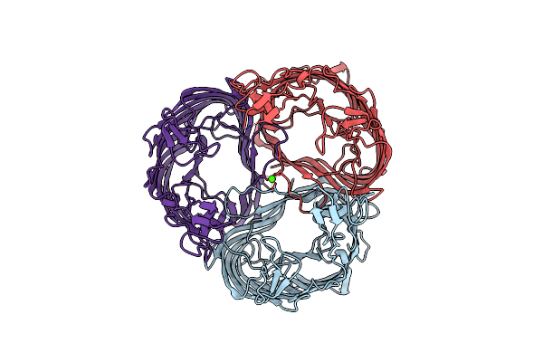 1MPR image