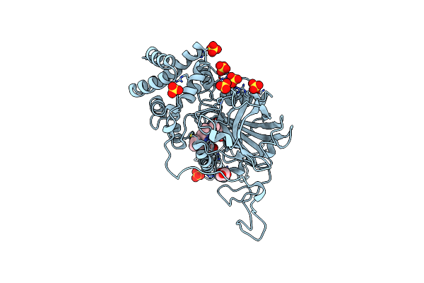1MQF image