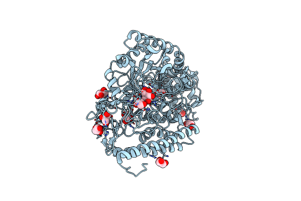 1MQQ image