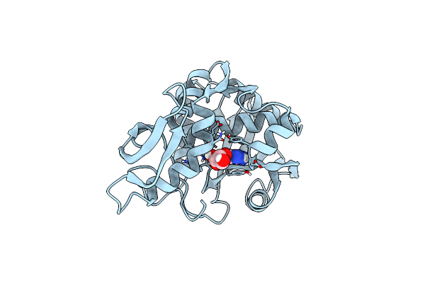 1MRH image