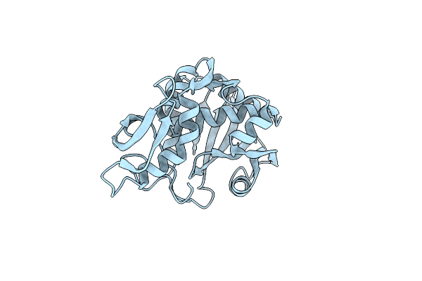 1MRI image