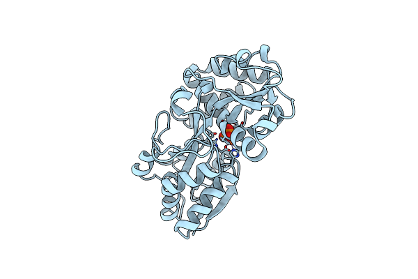 1MRP image