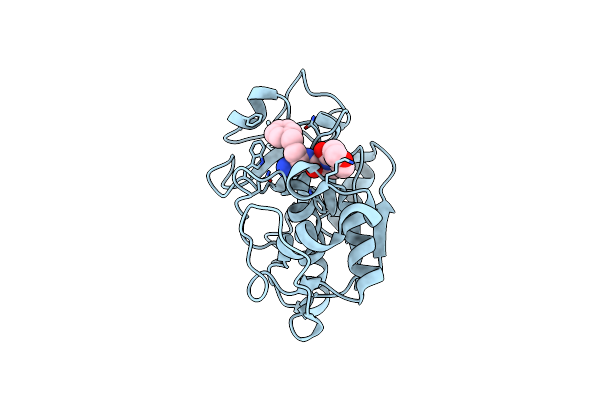 1MS6 image
