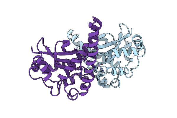 1MSD image