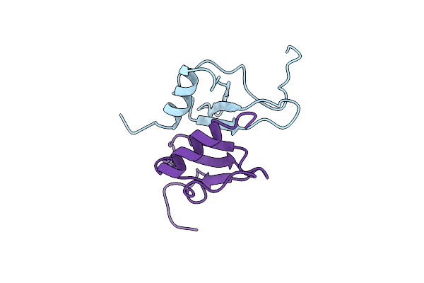 1MSG image