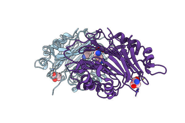 1MSV image