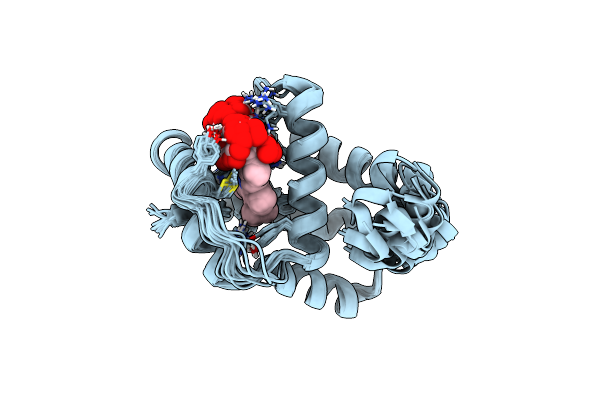 1MWB image