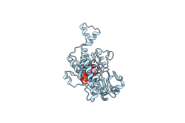 1MX3 image