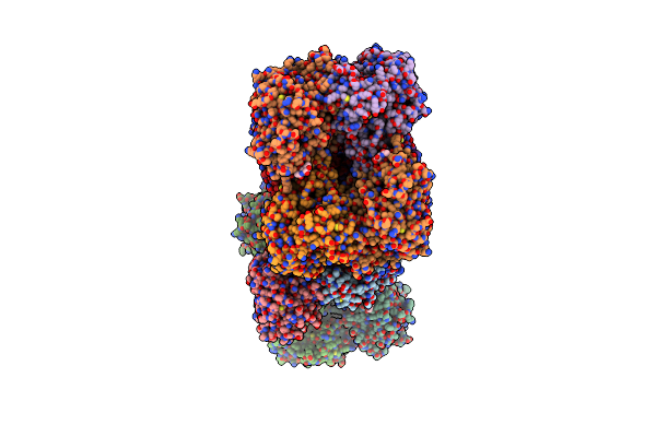 1MX9 image