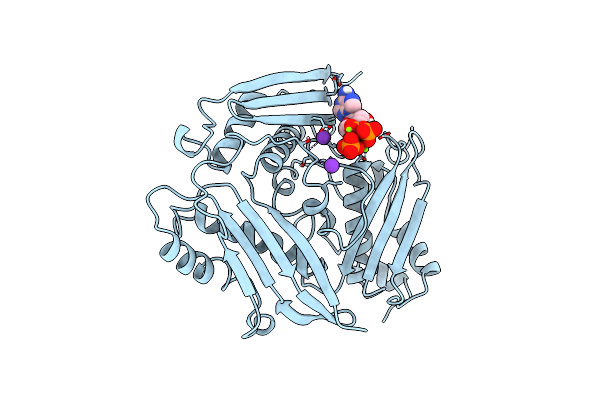 1MXB image