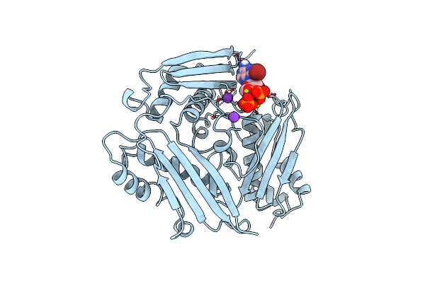 1MXC image