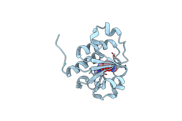 1MXI image
