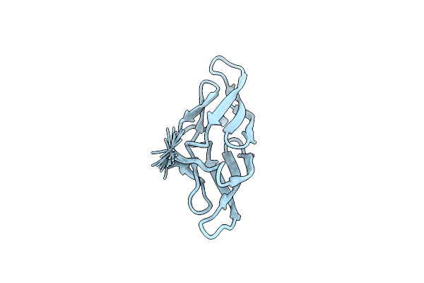 1N02 image