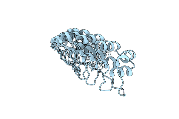 1N11 image