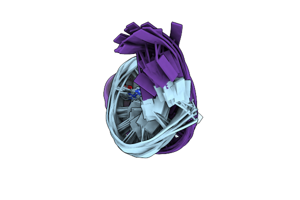 1N17 image