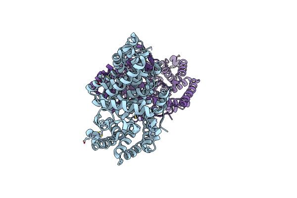 1N1B image