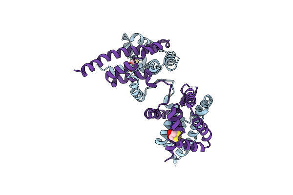 1N1C image