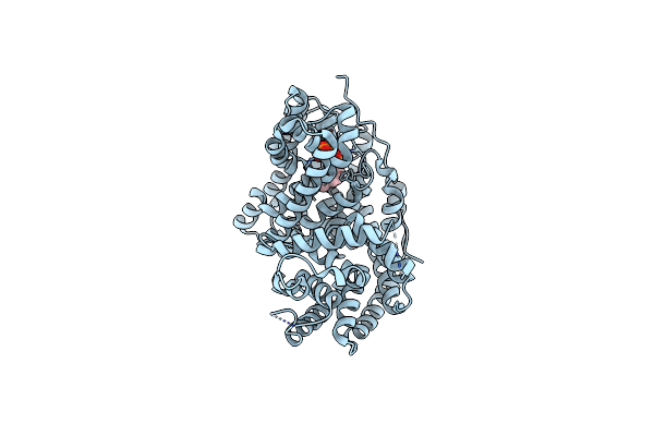 1N21 image