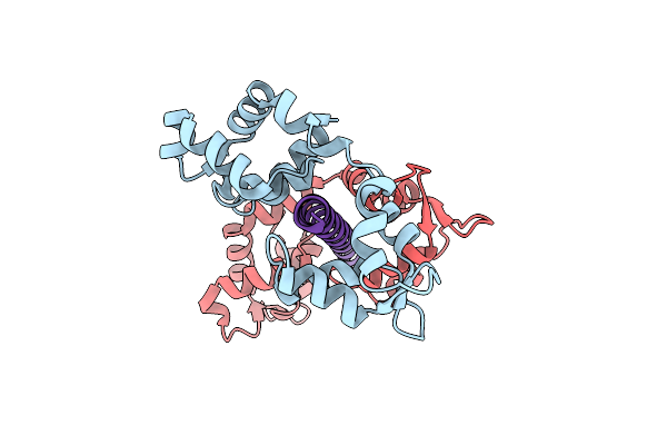 1N2D image