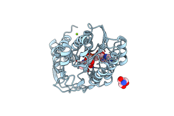 1N2S image