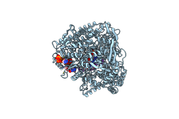 1N35 image
