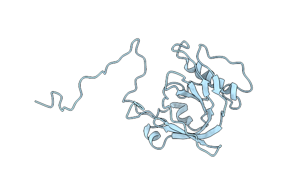 1N3H image