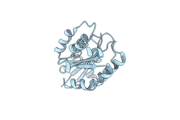 1N3Y image