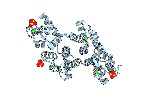 1N41 image