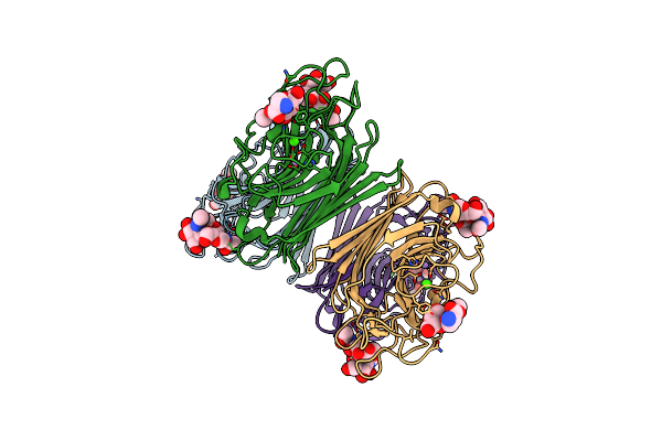 1N47 image