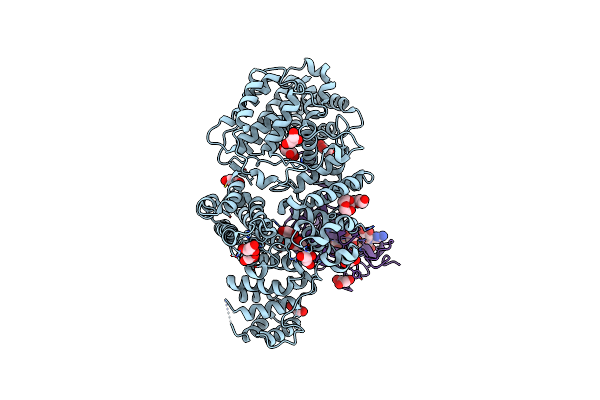 1N52 image