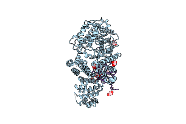 1N54 image