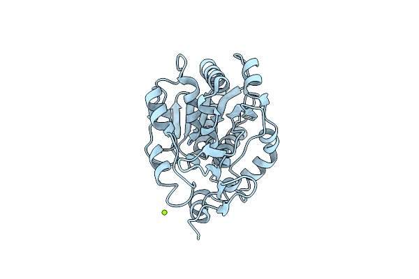 1N57 image