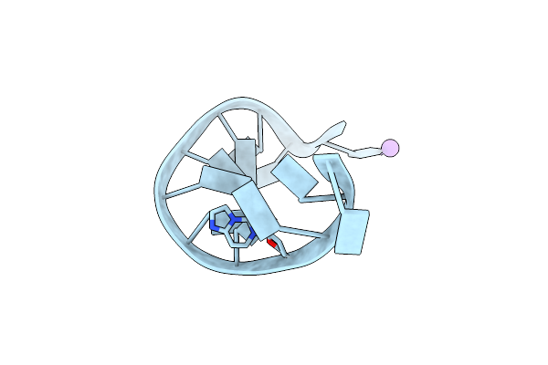 1N5C image
