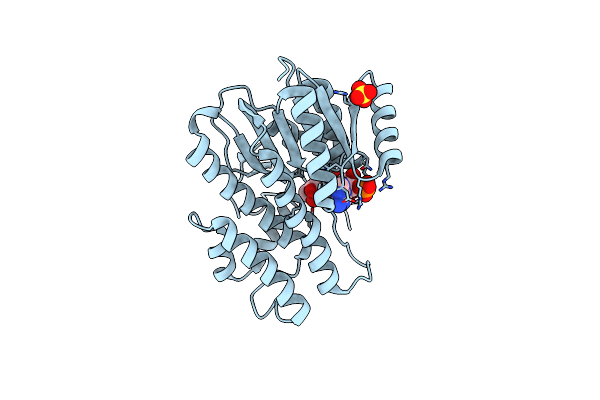 1N5D image