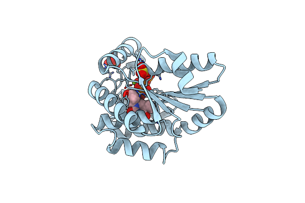 1N5J image