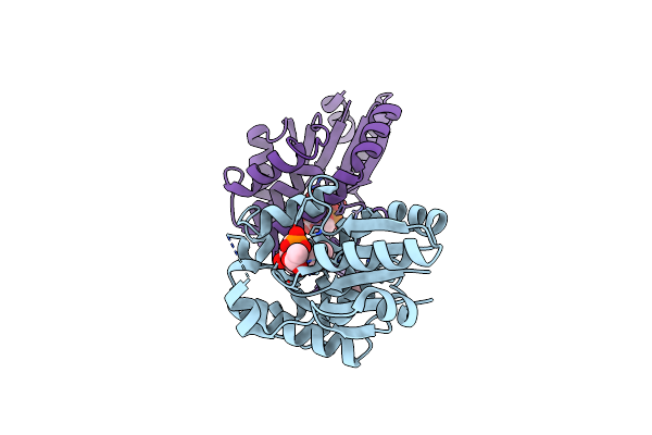 1N5K image