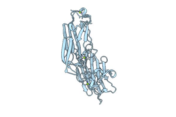 1N67 image