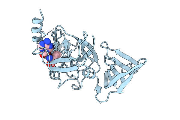 1N6A image