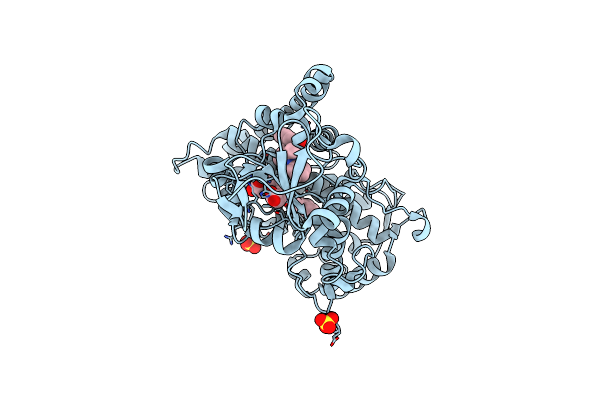 1N6B image