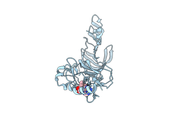 1N6C image