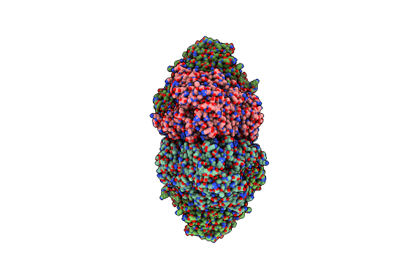 1N6D image