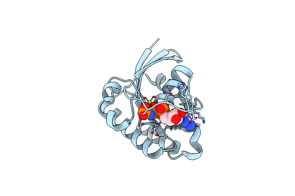 1N6P image